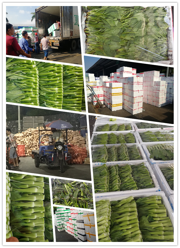 bti体育平台·(中国)官方网站