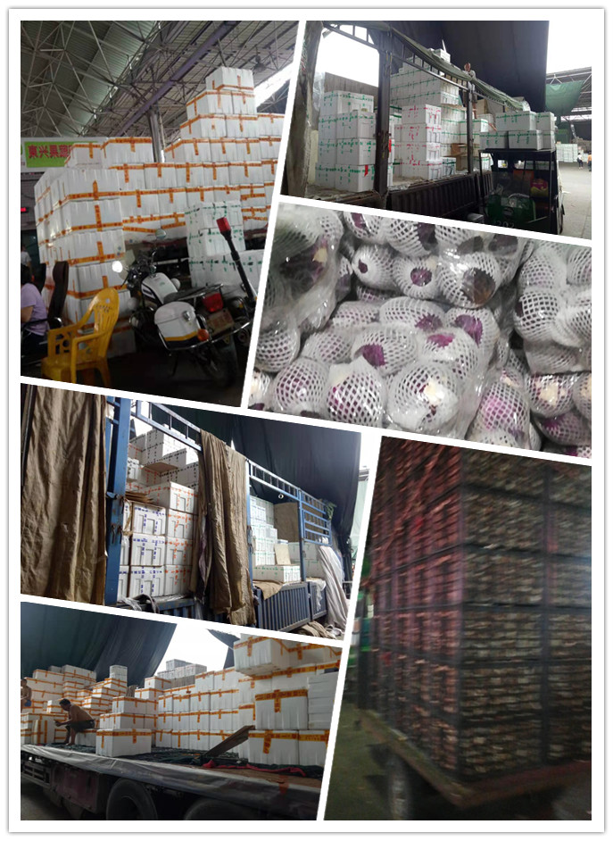 bti体育平台·(中国)官方网站