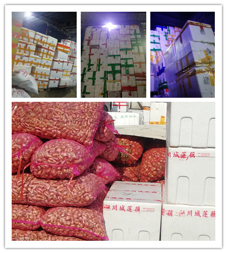 bti体育平台·(中国)官方网站