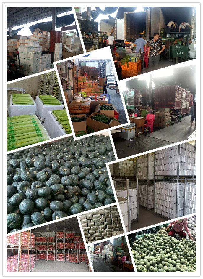 bti体育平台·(中国)官方网站