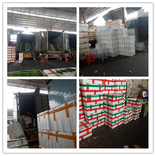 bti体育平台·(中国)官方网站