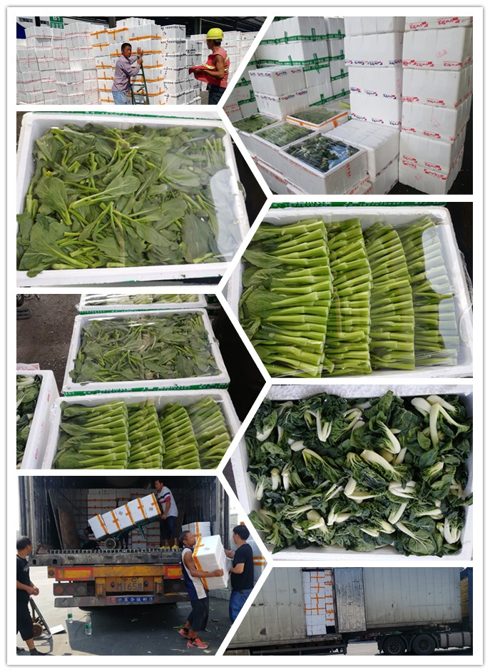 bti体育平台·(中国)官方网站