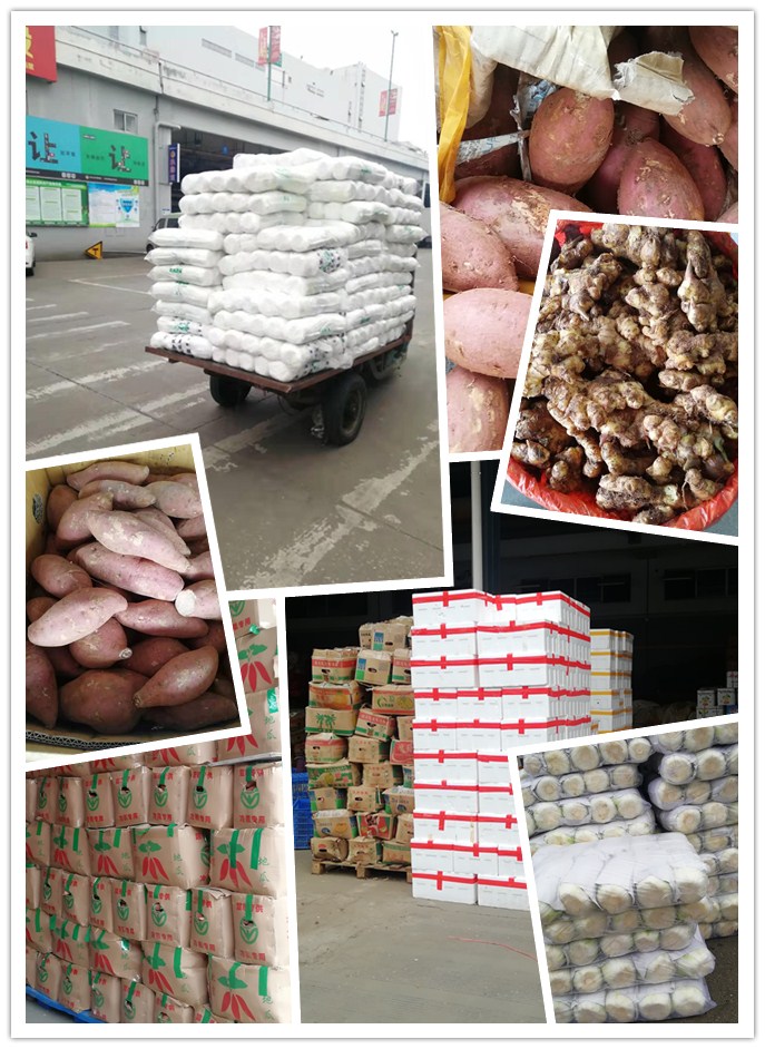 bti体育平台·(中国)官方网站