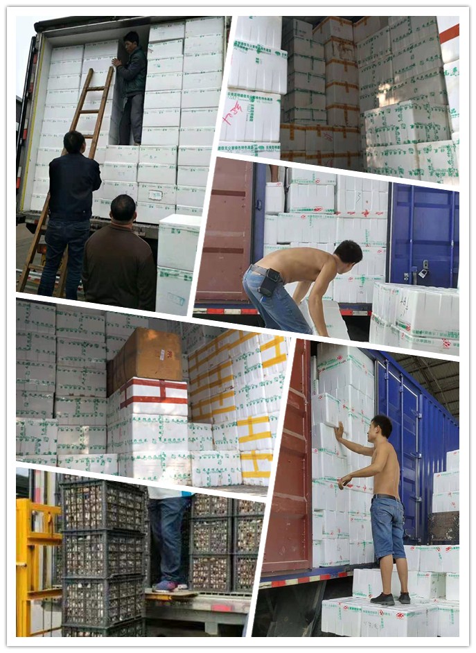 bti体育平台·(中国)官方网站