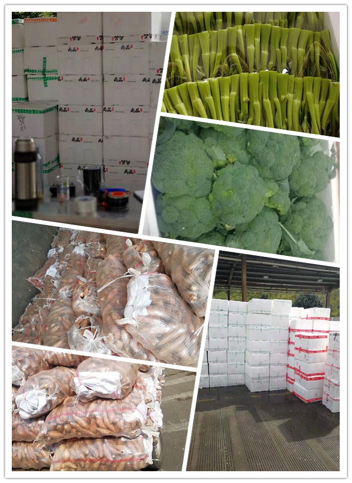 bti体育平台·(中国)官方网站