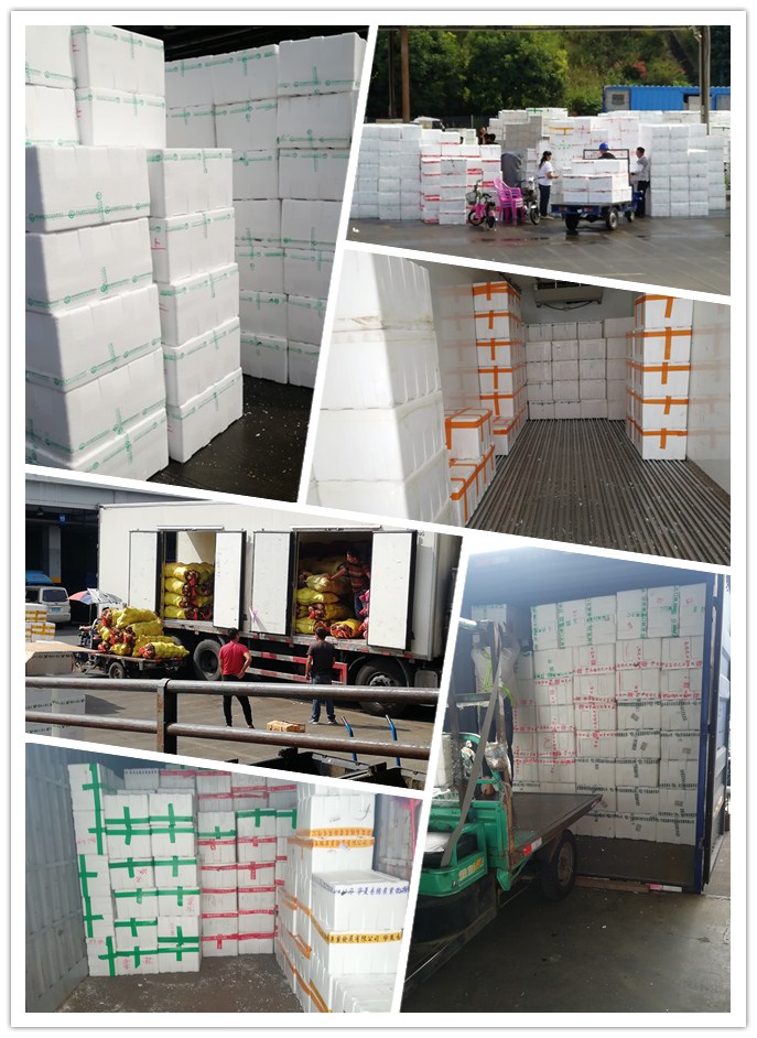 bti体育平台·(中国)官方网站