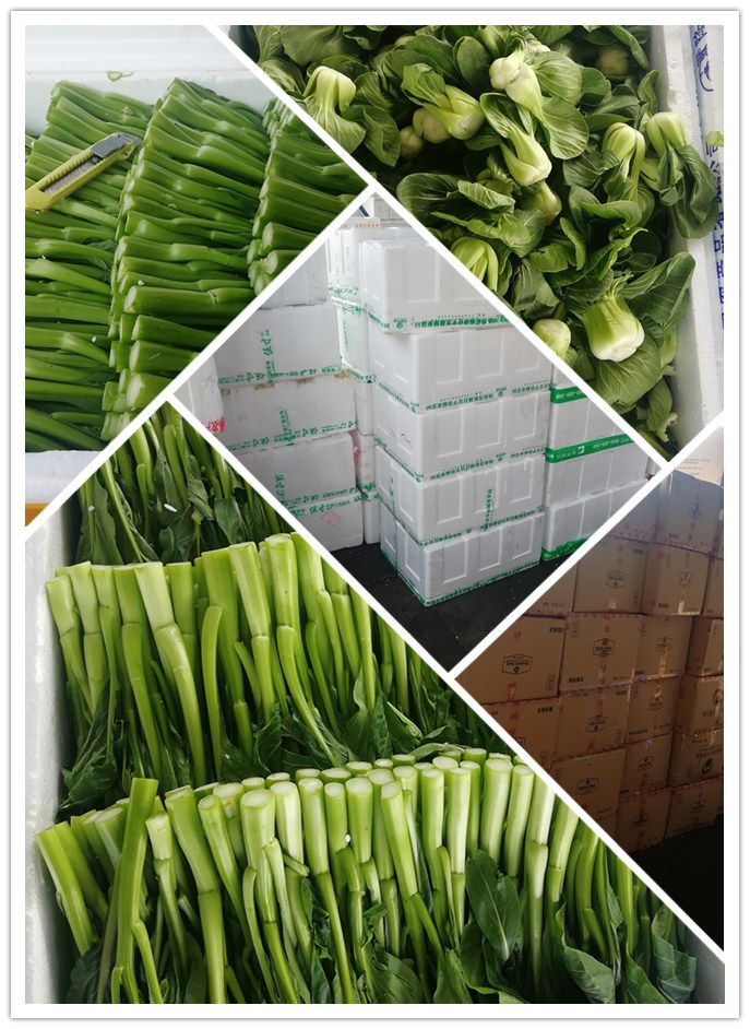 bti体育平台·(中国)官方网站