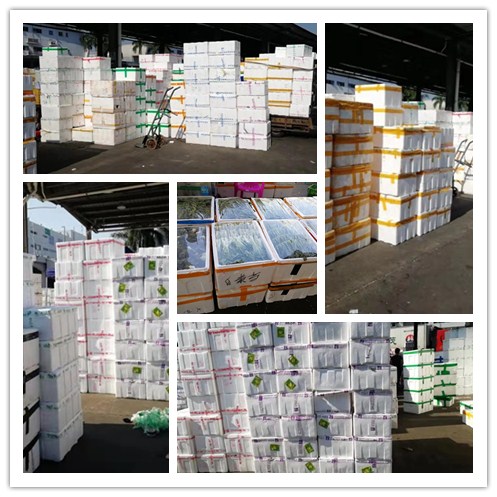 bti体育平台·(中国)官方网站