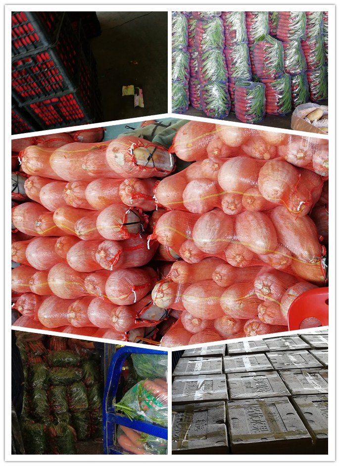 bti体育平台·(中国)官方网站