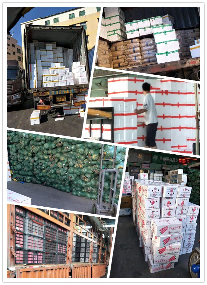 bti体育平台·(中国)官方网站