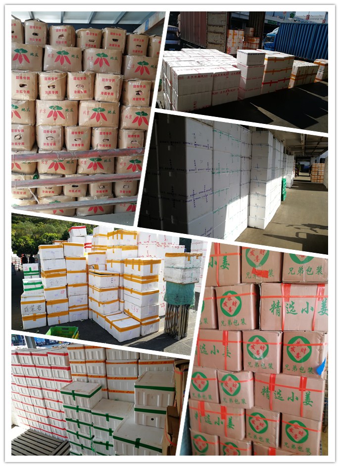 bti体育平台·(中国)官方网站