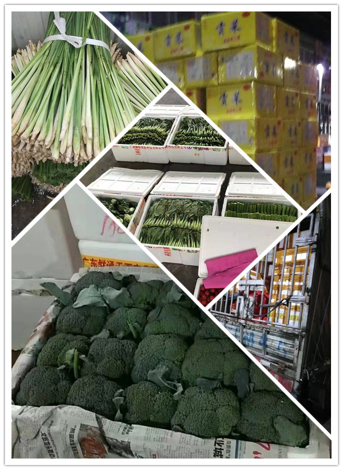 bti体育平台·(中国)官方网站