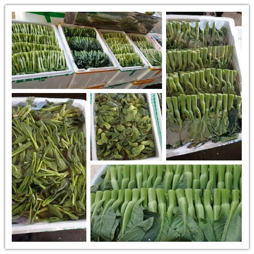 bti体育平台·(中国)官方网站