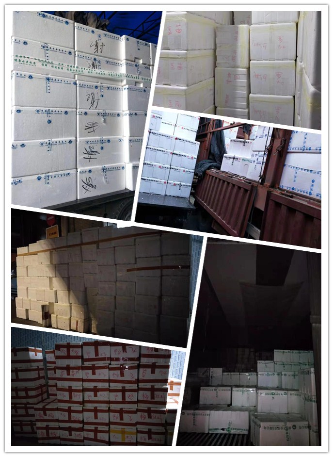 bti体育平台·(中国)官方网站