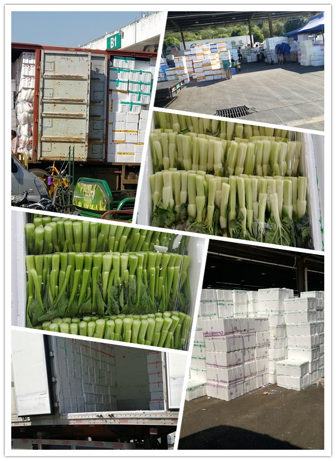 bti体育平台·(中国)官方网站