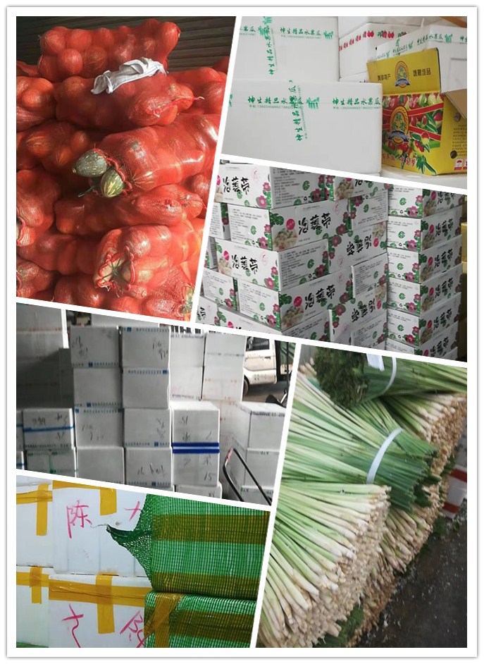 bti体育平台·(中国)官方网站