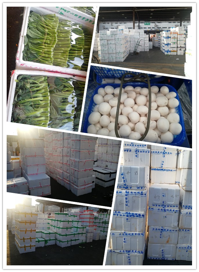 bti体育平台·(中国)官方网站