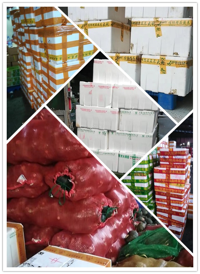 bti体育平台·(中国)官方网站