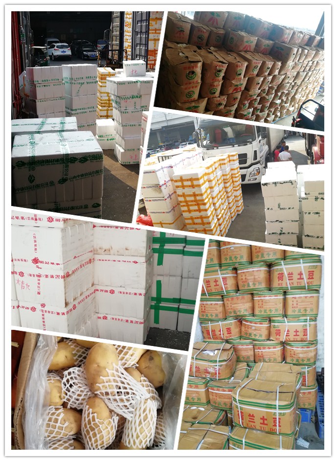 bti体育平台·(中国)官方网站