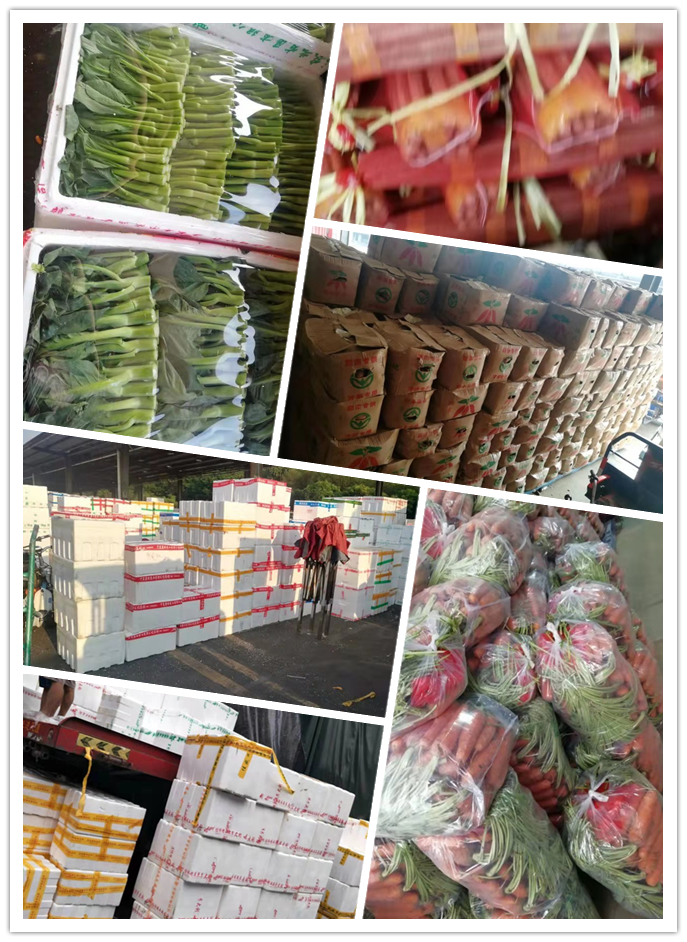 bti体育平台·(中国)官方网站