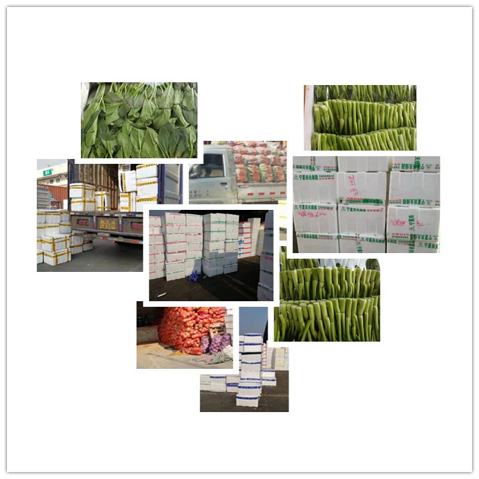 bti体育平台·(中国)官方网站