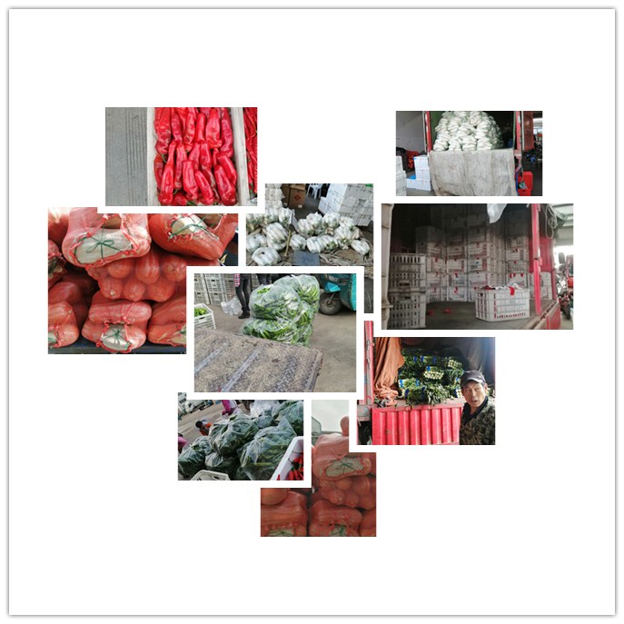 bti体育平台·(中国)官方网站