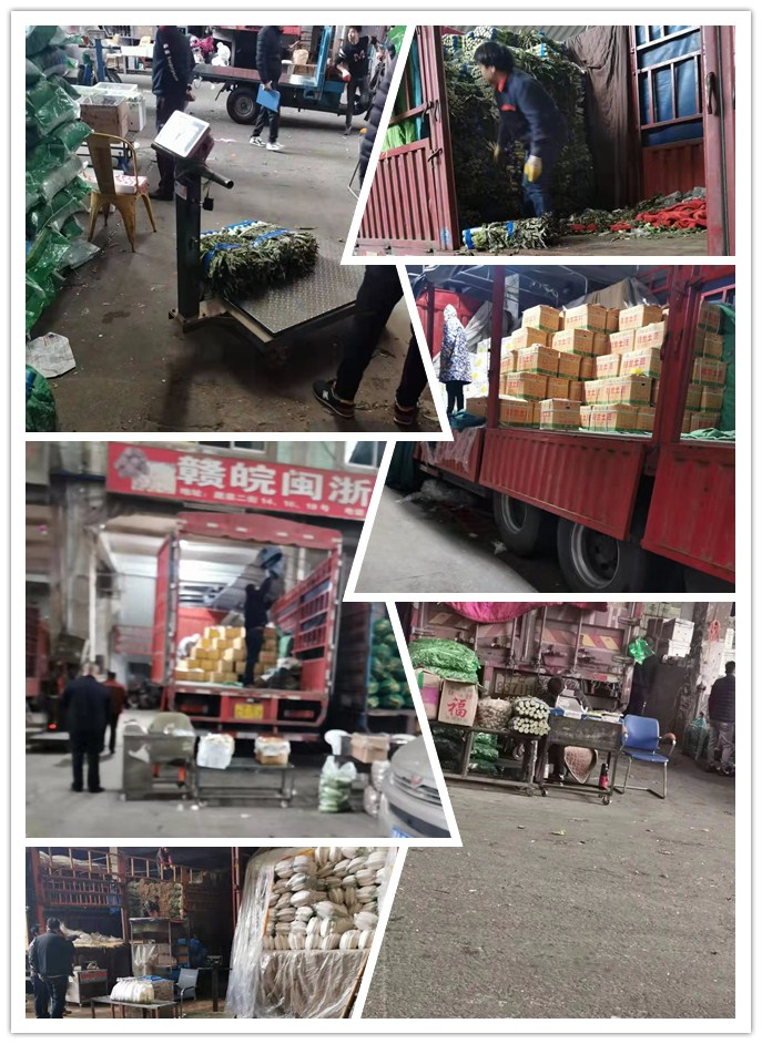 bti体育平台·(中国)官方网站