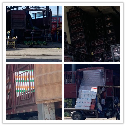 bti体育平台·(中国)官方网站