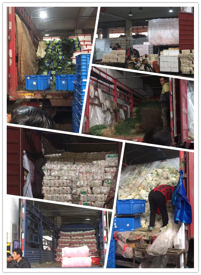 bti体育平台·(中国)官方网站