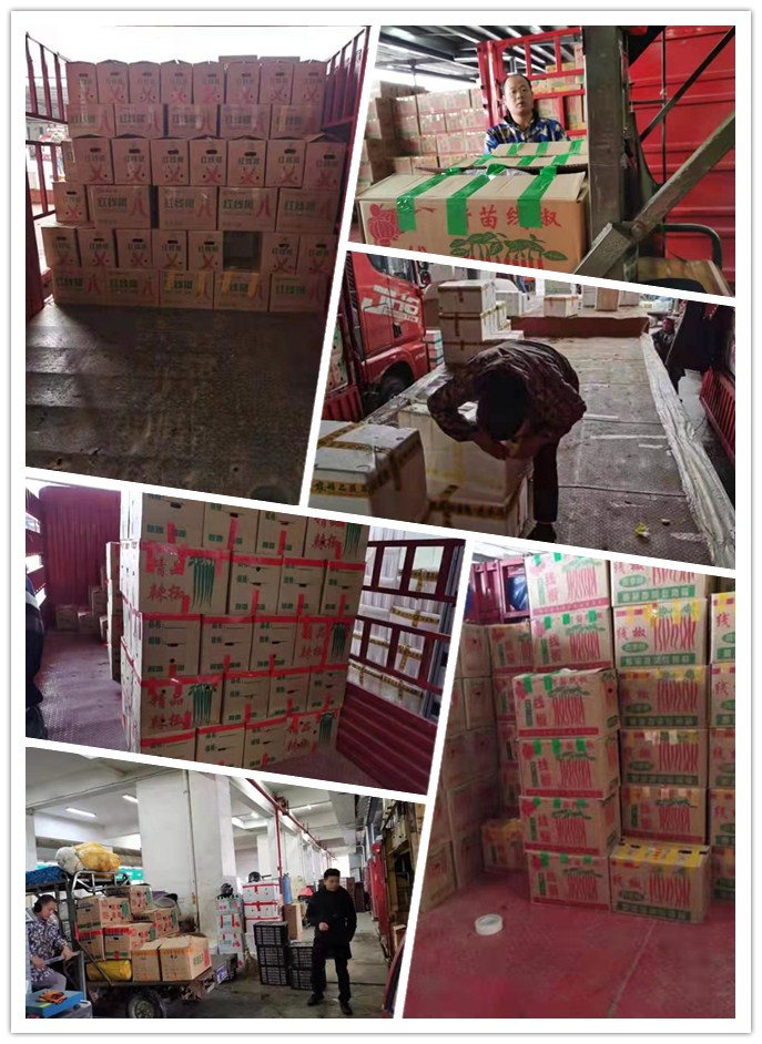 bti体育平台·(中国)官方网站