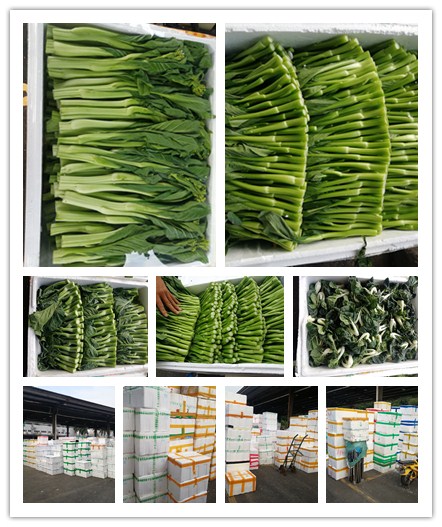 bti体育平台·(中国)官方网站