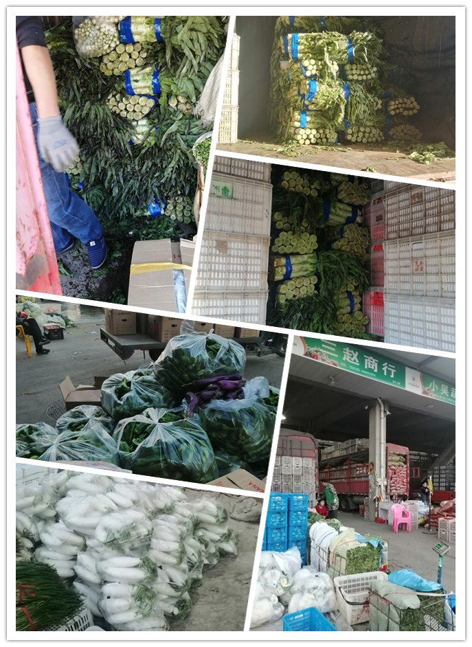 bti体育平台·(中国)官方网站