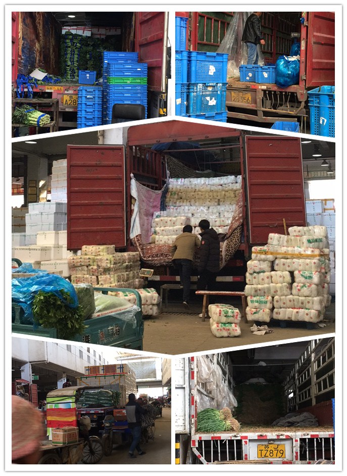 bti体育平台·(中国)官方网站