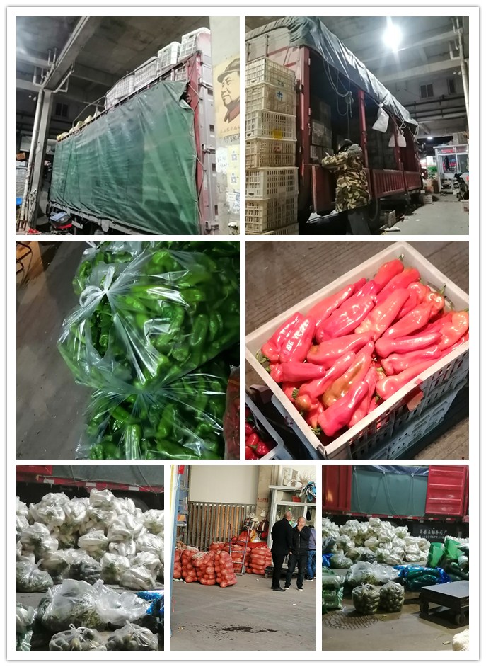 bti体育平台·(中国)官方网站