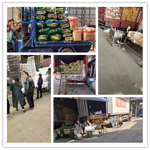 bti体育平台·(中国)官方网站