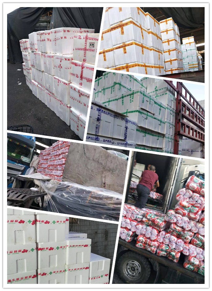 bti体育平台·(中国)官方网站