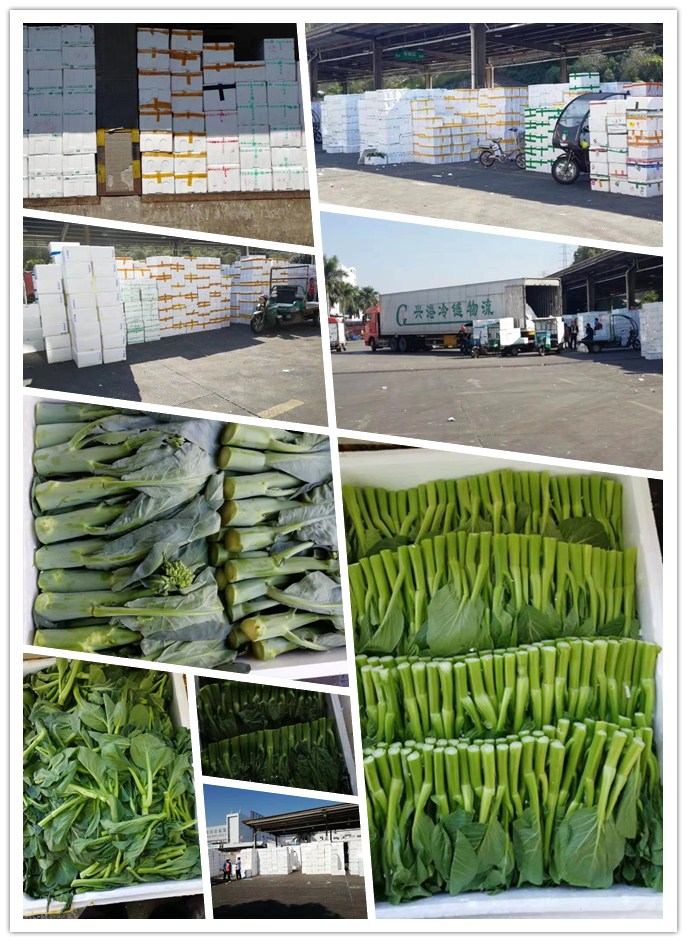 bti体育平台·(中国)官方网站