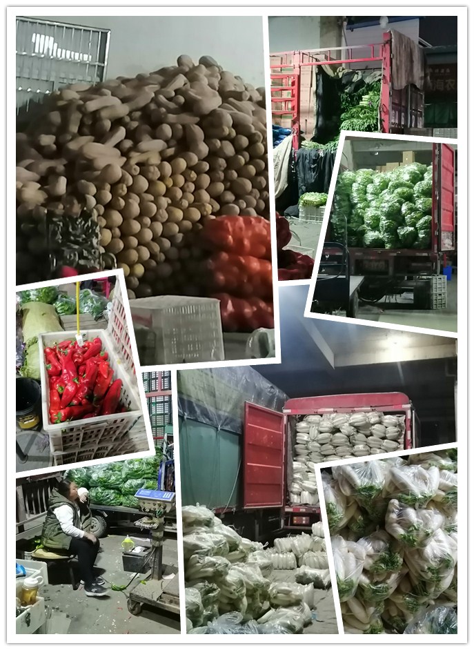 bti体育平台·(中国)官方网站