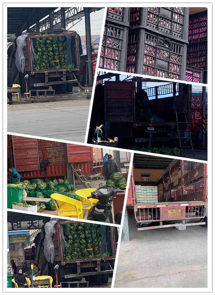 bti体育平台·(中国)官方网站