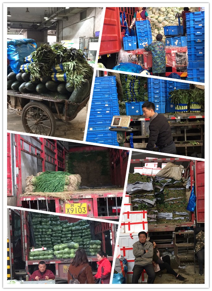 bti体育平台·(中国)官方网站