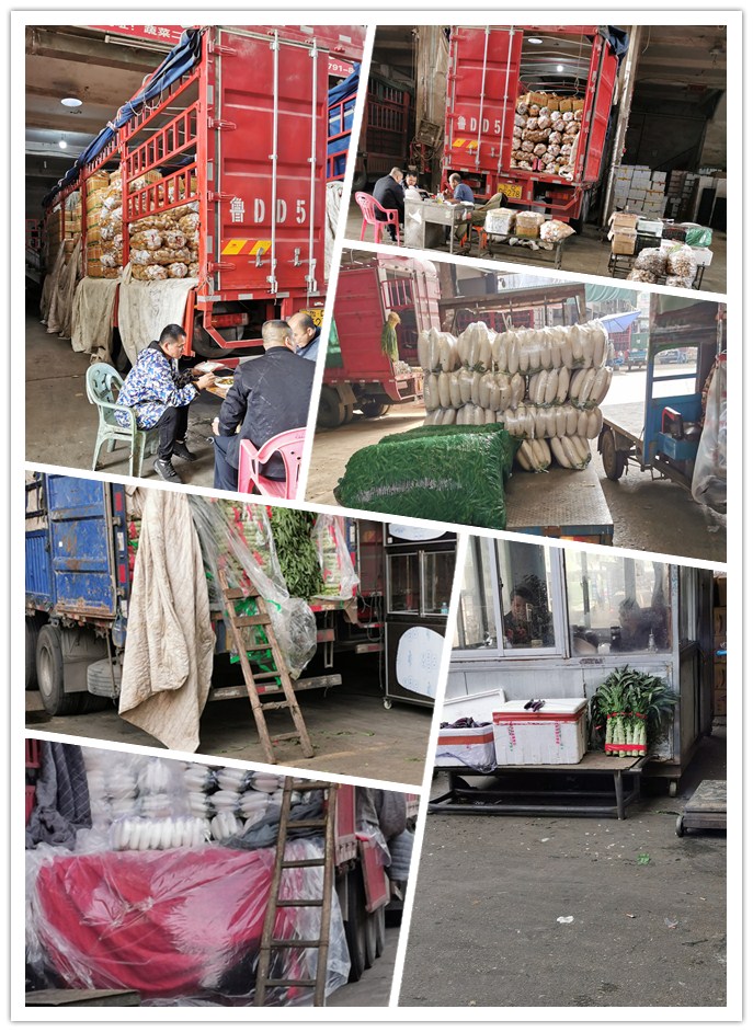 bti体育平台·(中国)官方网站