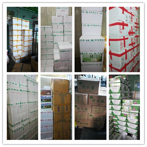 bti体育平台·(中国)官方网站