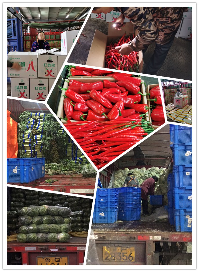 bti体育平台·(中国)官方网站