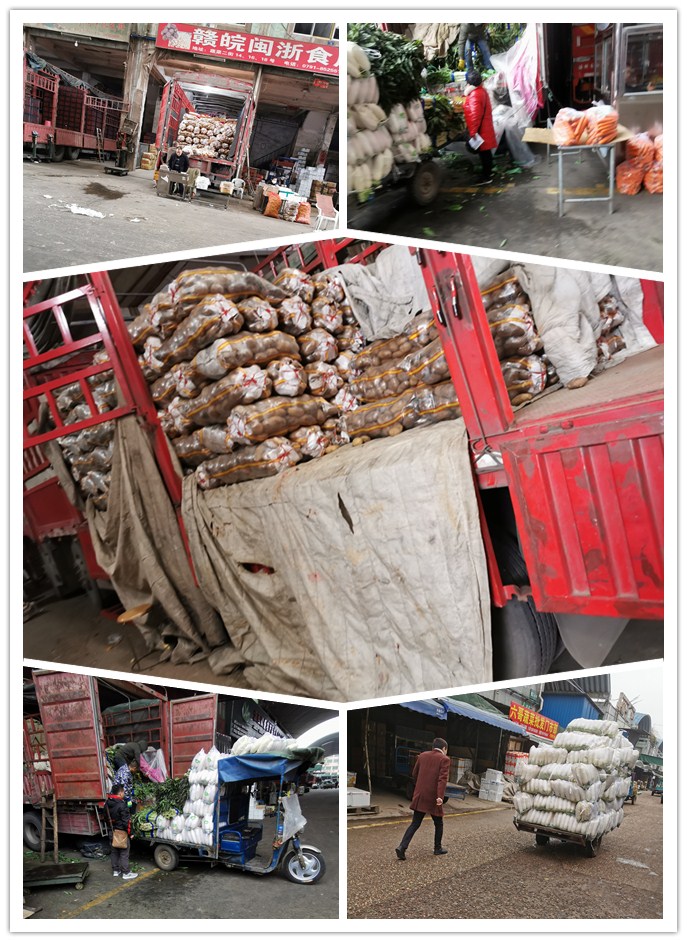 bti体育平台·(中国)官方网站