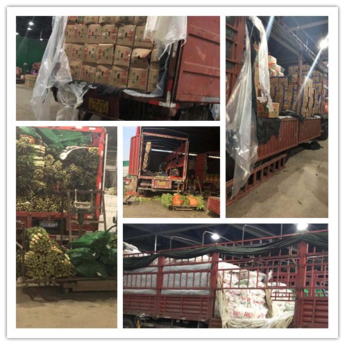 bti体育平台·(中国)官方网站