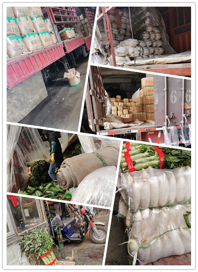 bti体育平台·(中国)官方网站