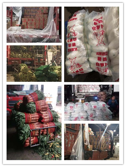 bti体育平台·(中国)官方网站