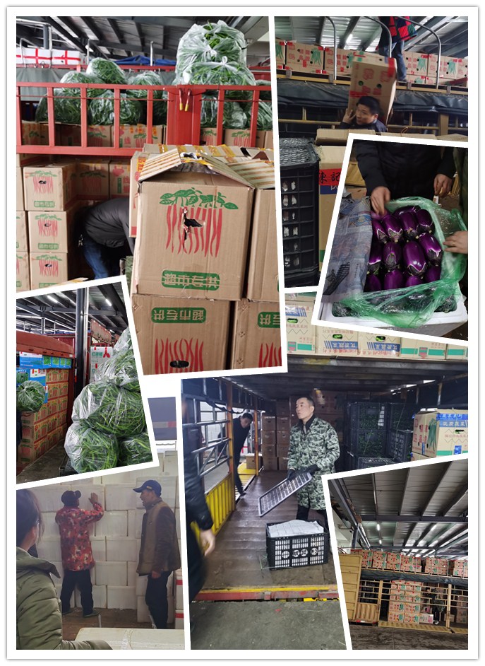 bti体育平台·(中国)官方网站