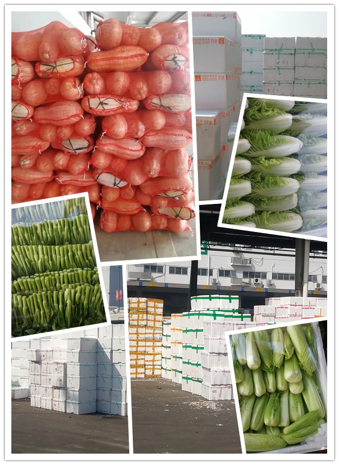 bti体育平台·(中国)官方网站