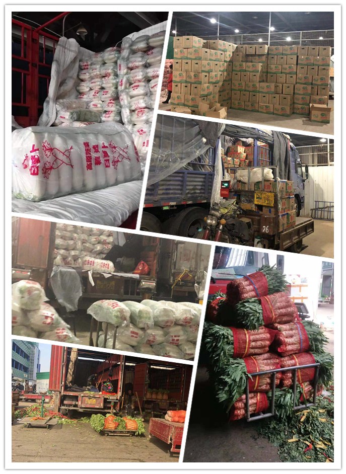 bti体育平台·(中国)官方网站